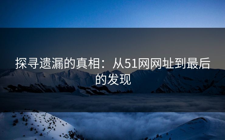 探寻遗漏的真相：从51网网址到最后的发现